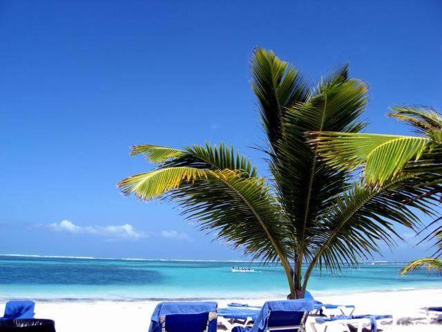 Hotel Larimar Beach Punta Cana Exterior foto